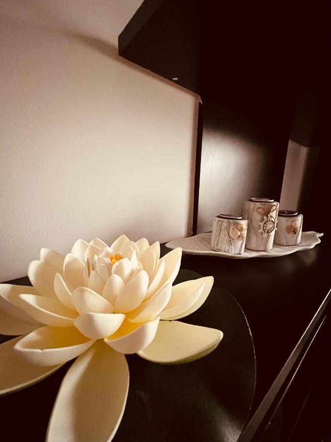 Alice Apartment أراد المظهر الخارجي الصورة